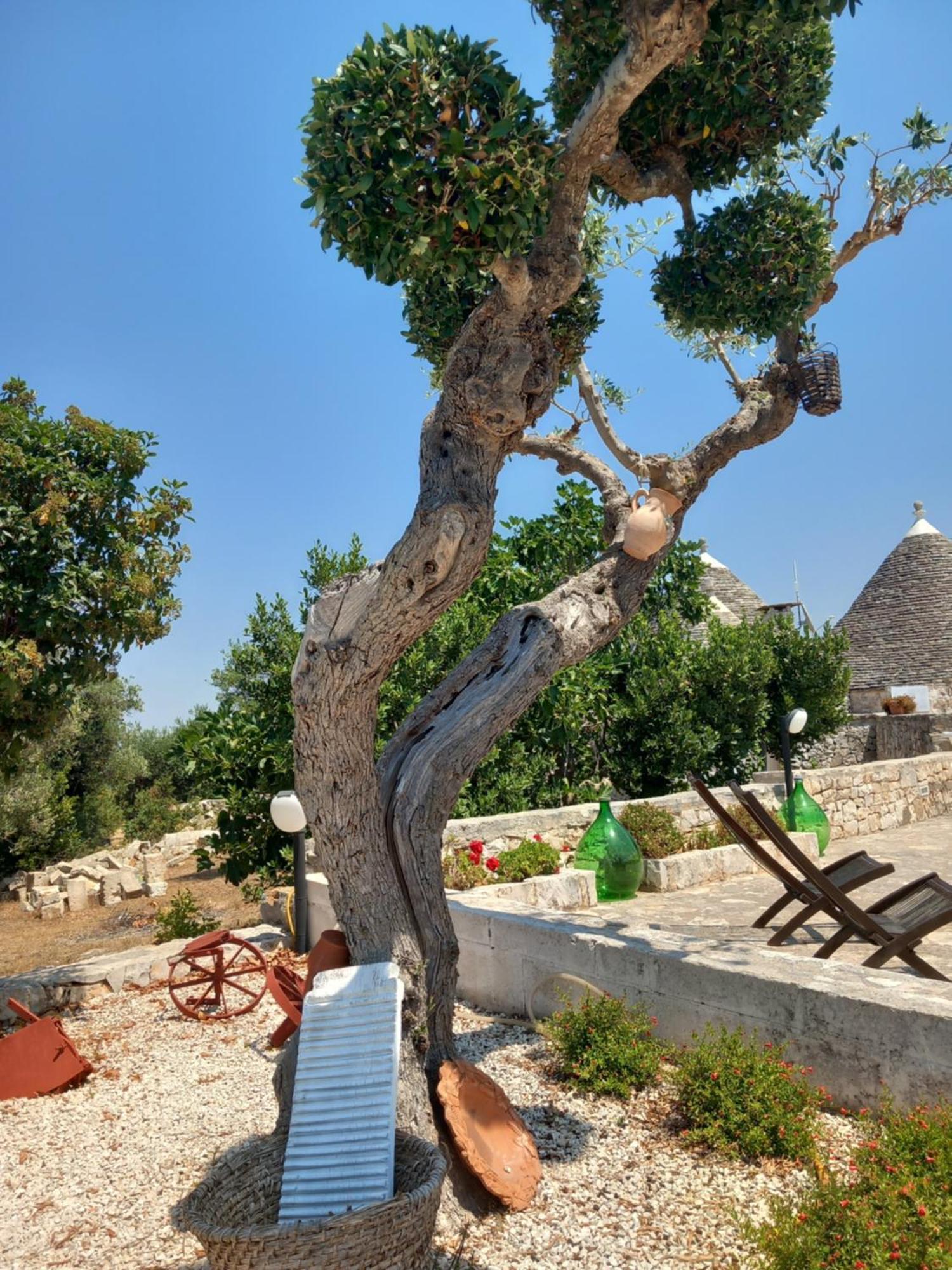Penzion Trullo Monte Del Sale Alberobello Exteriér fotografie