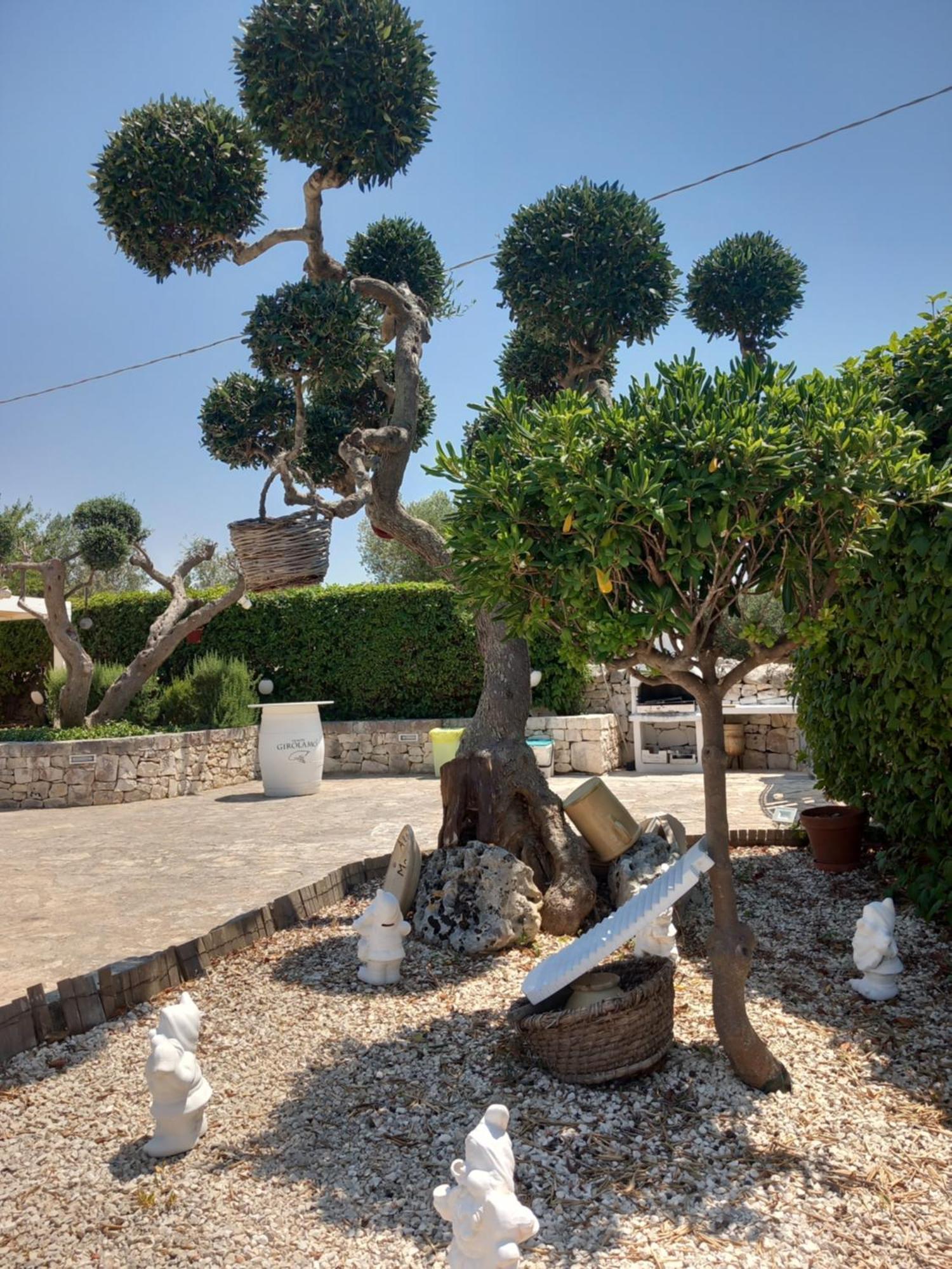 Penzion Trullo Monte Del Sale Alberobello Exteriér fotografie