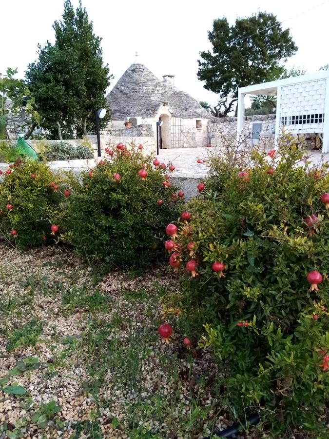 Penzion Trullo Monte Del Sale Alberobello Exteriér fotografie
